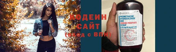 шишки Богородицк