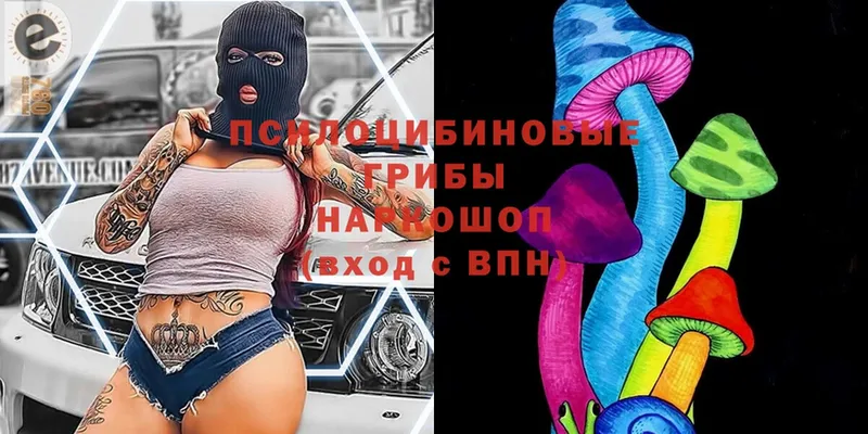 Псилоцибиновые грибы мицелий  Калач 